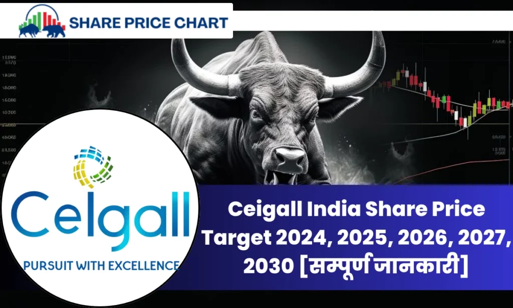 Ceigall India Share Price Target